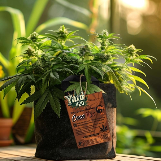 Grow Pot Coco Mix